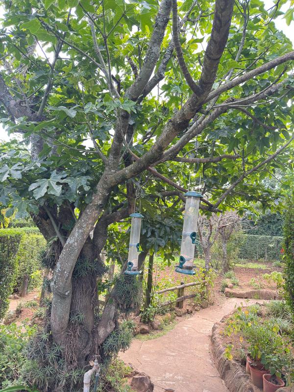 2 Bedroom Property for Sale in Kingswood Eastern Cape
